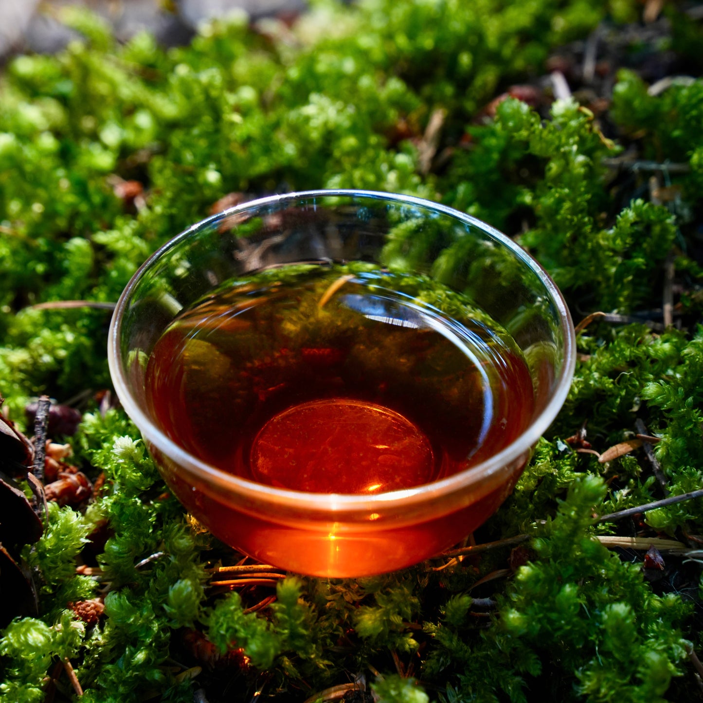 Floral Black Tea brewed tea liquor in a glass cup on green moss (forest setting)