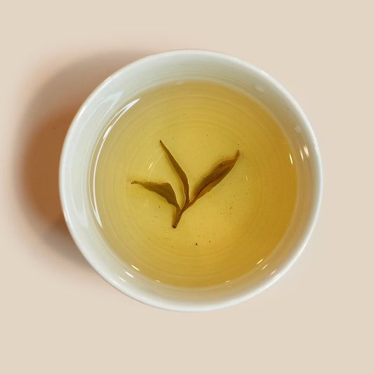 Yellow Pearl Tea brewed tea liquor in cup