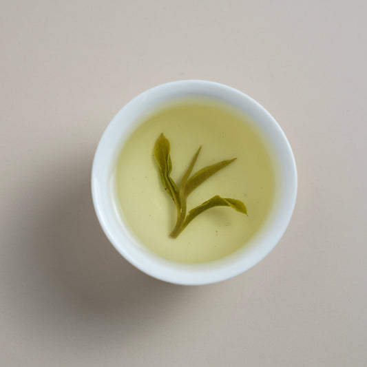 Emerald Dew infused leaves in brewed tea liquor