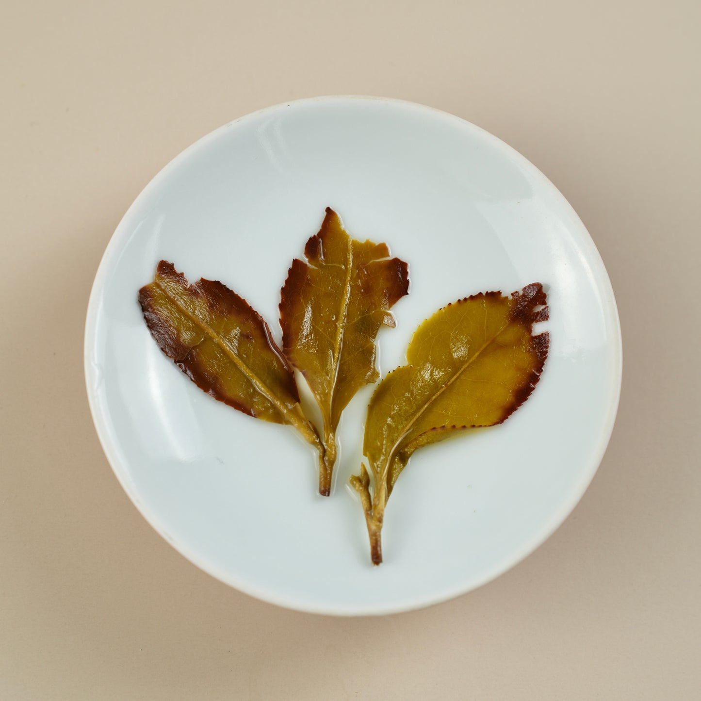 Floral Zhangping Shuixian infused leaves (wet leaves)
