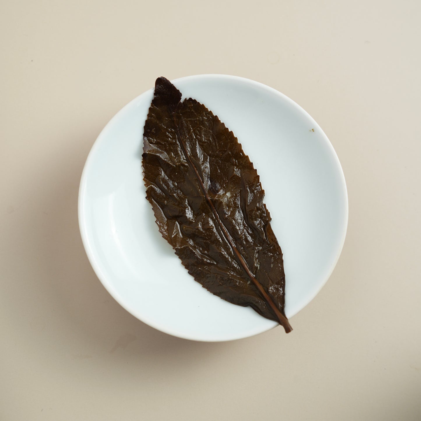 Aged Zhangping Shuixian infused leaves (wet leaves)