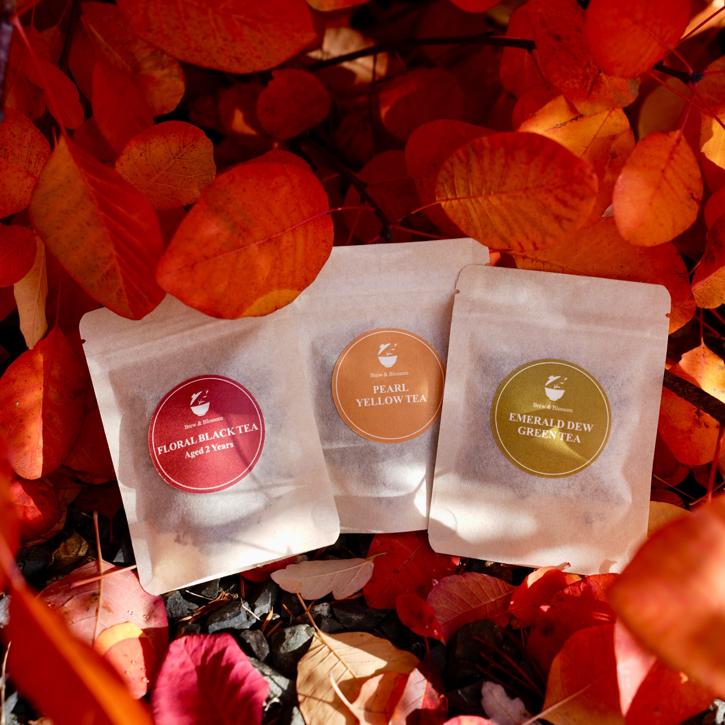 Mini tea flight sample pouches—Floral Black Tea, Pearl Yellow Tea, and Emerald Dew Green Tea—on autumn leaves