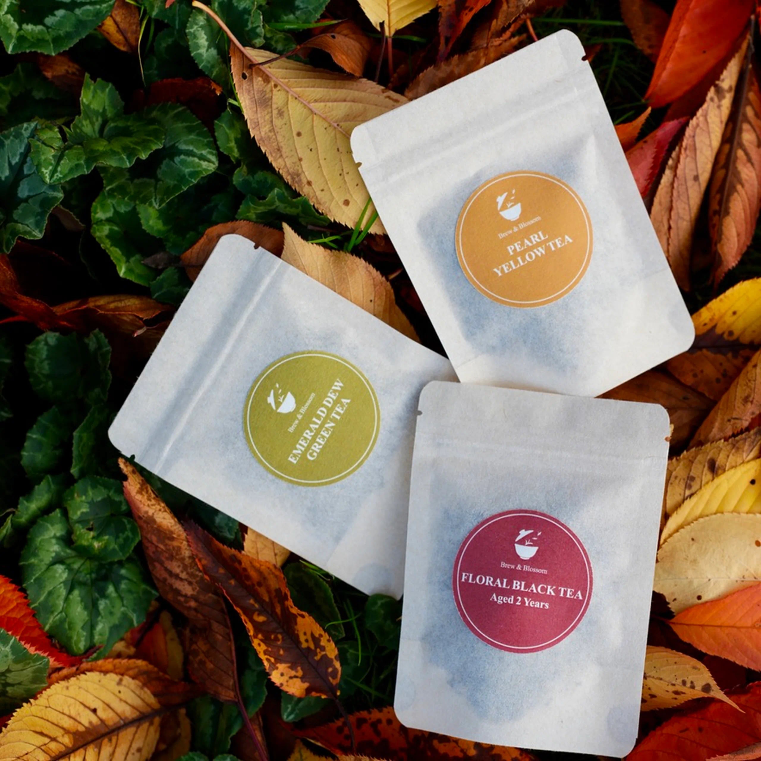 Brew & Blossom mini tea flight pouches—Pearl Yellow Tea, Emerald Dew Green Tea, and Floral Black Tea—on autumn leaves