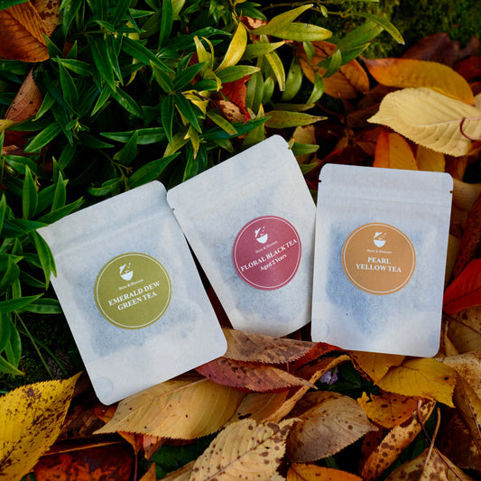 Brew & Blossom mini tea flight pouches—Pearl Yellow Tea, Emerald Dew Green Tea, and Floral Black Tea—on autumn leaves
