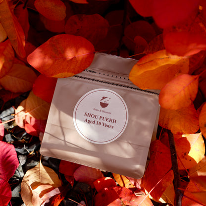 Brew & Blossom Shou Pu’erh Aged 10 Years tea pouch surrounded by autumn leaves