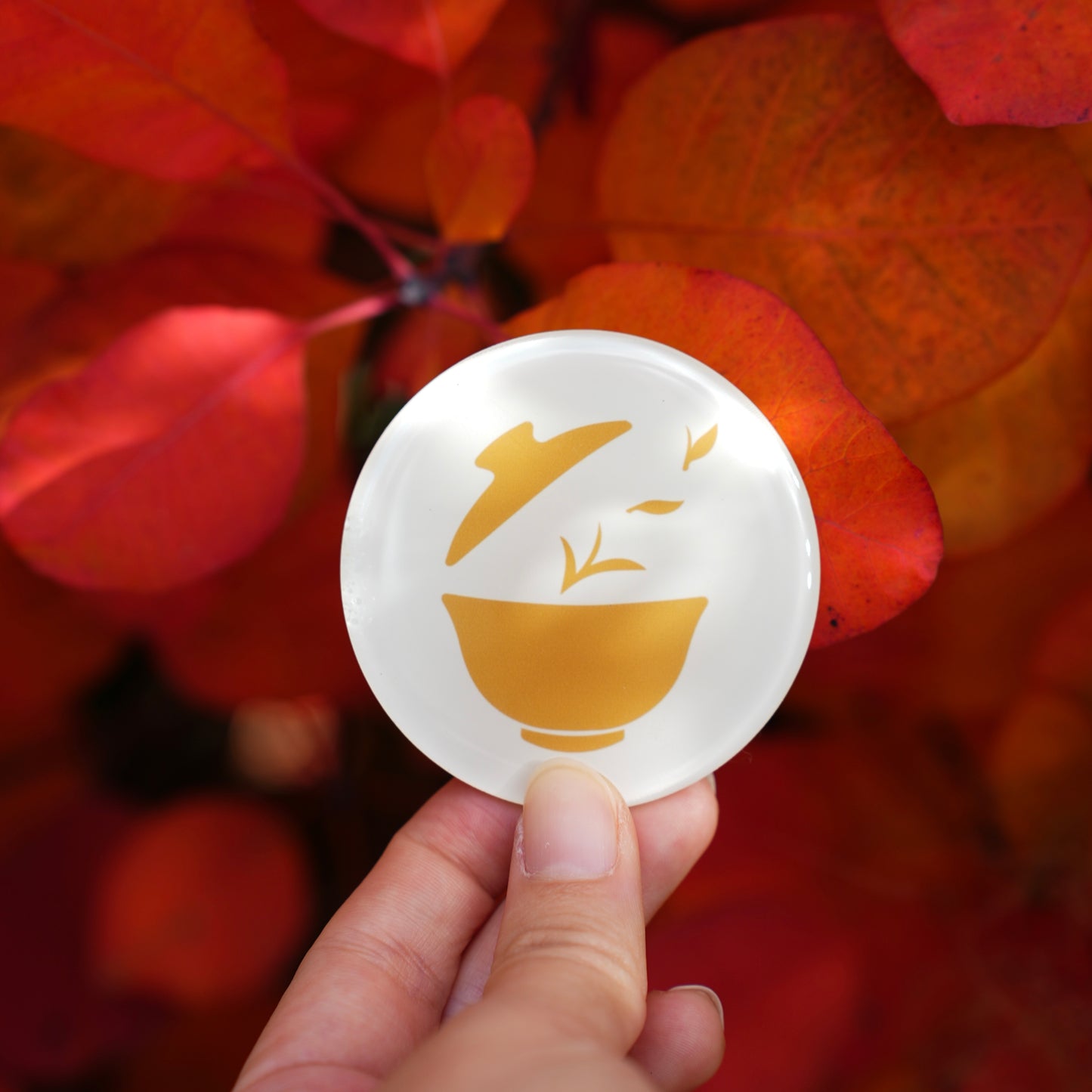 Brew & Blossom logo magnet on autumn leaves
