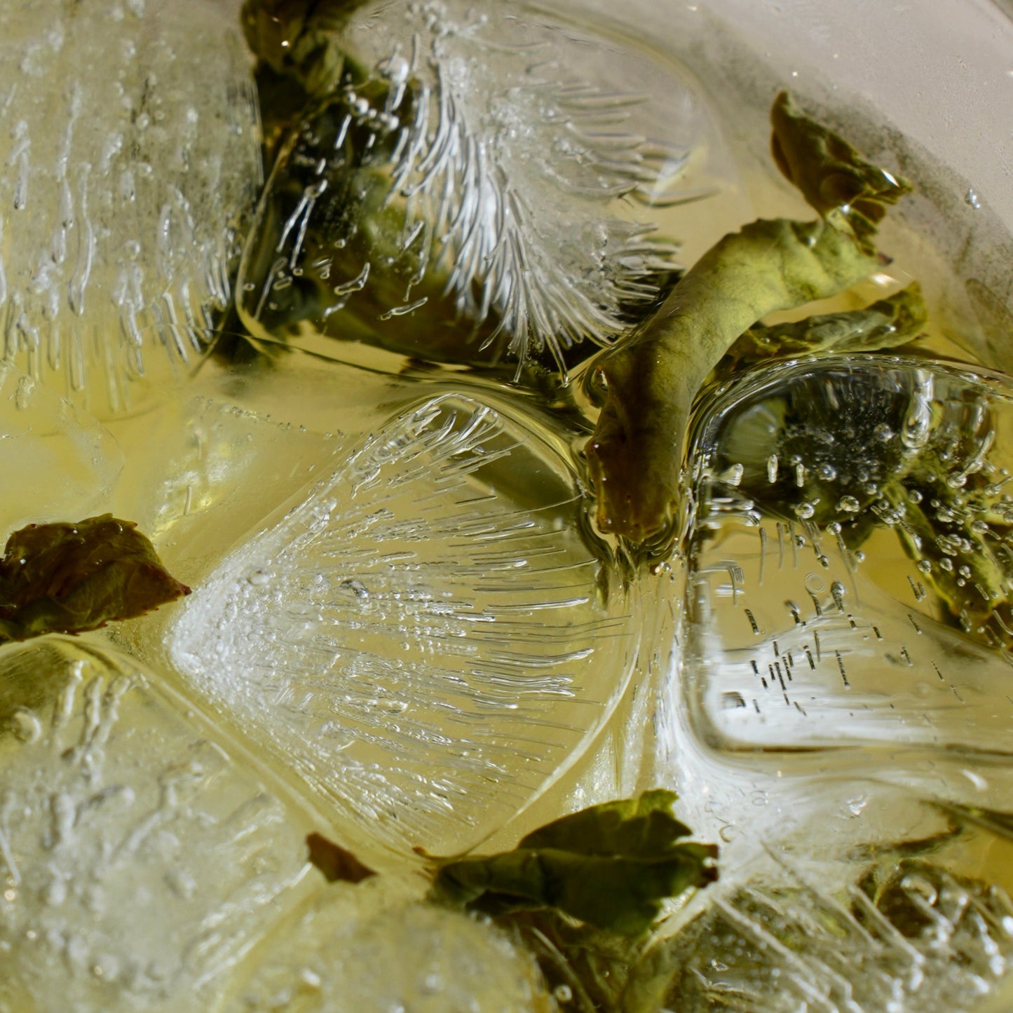 Floral Tieguanyin oolong cold brew with loose leaves and ice