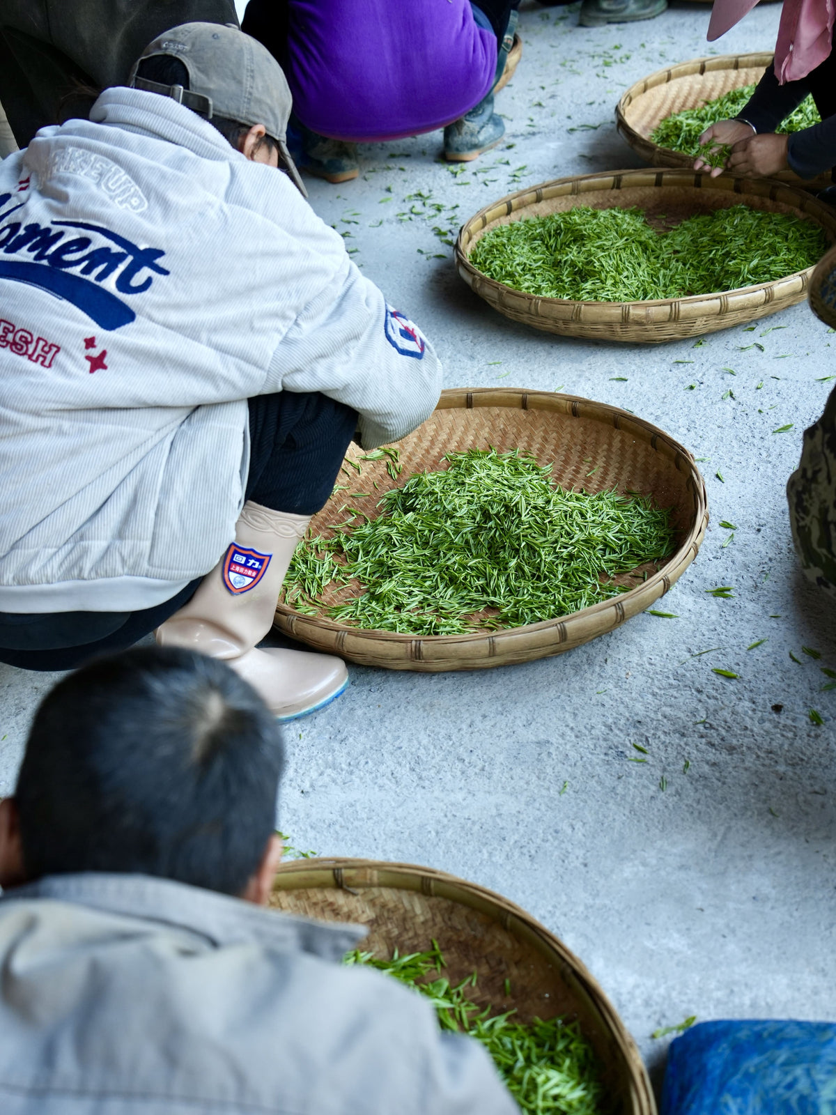 Tea sourcing image