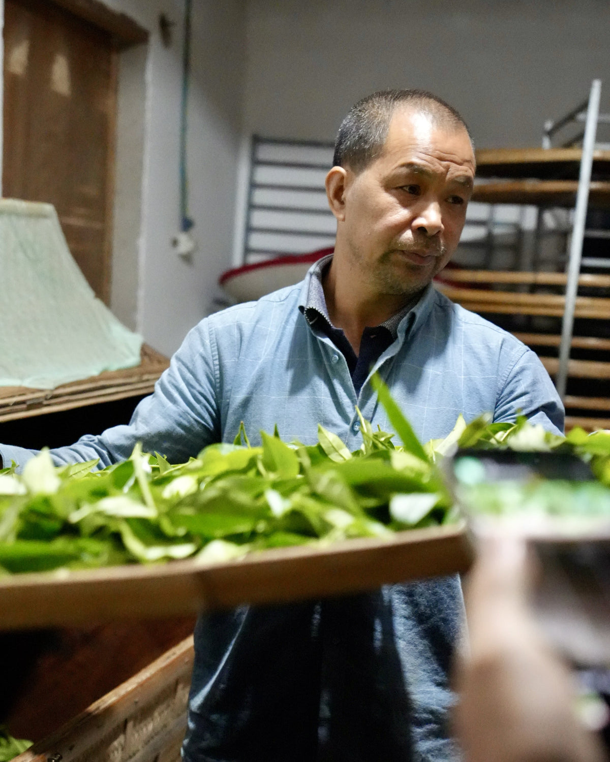 Tea sourcing image