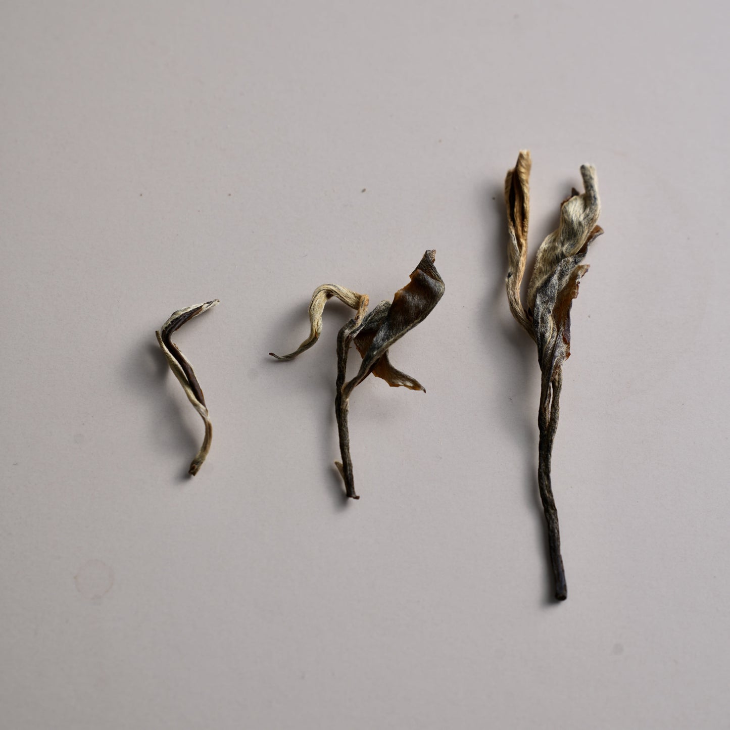 Pine & Cypress Sheng Pu’er