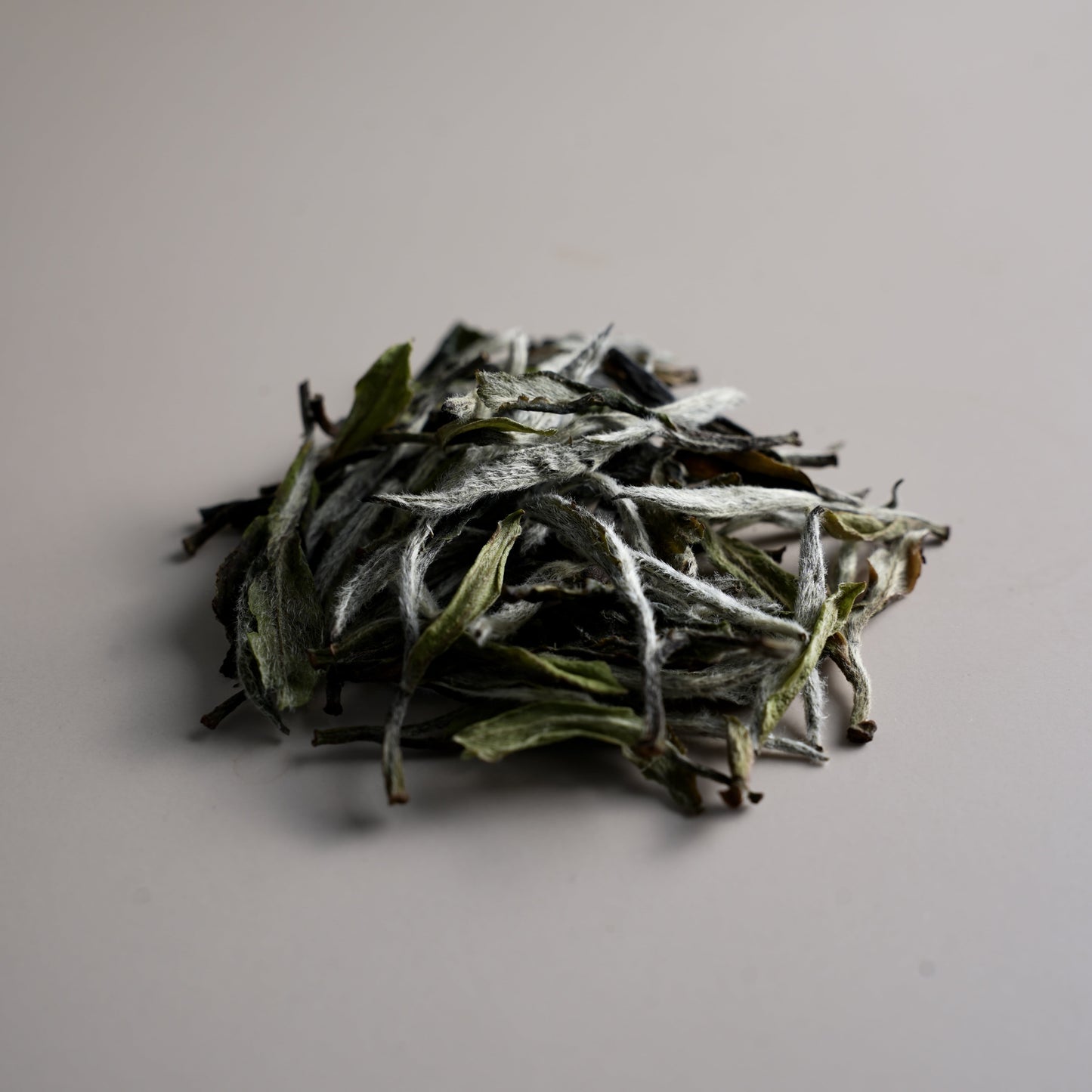 White Peony