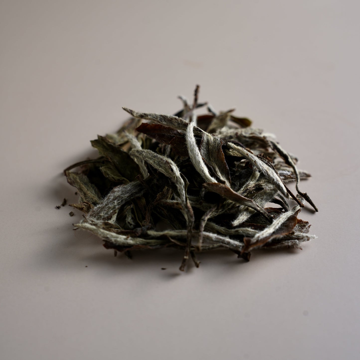White Peony