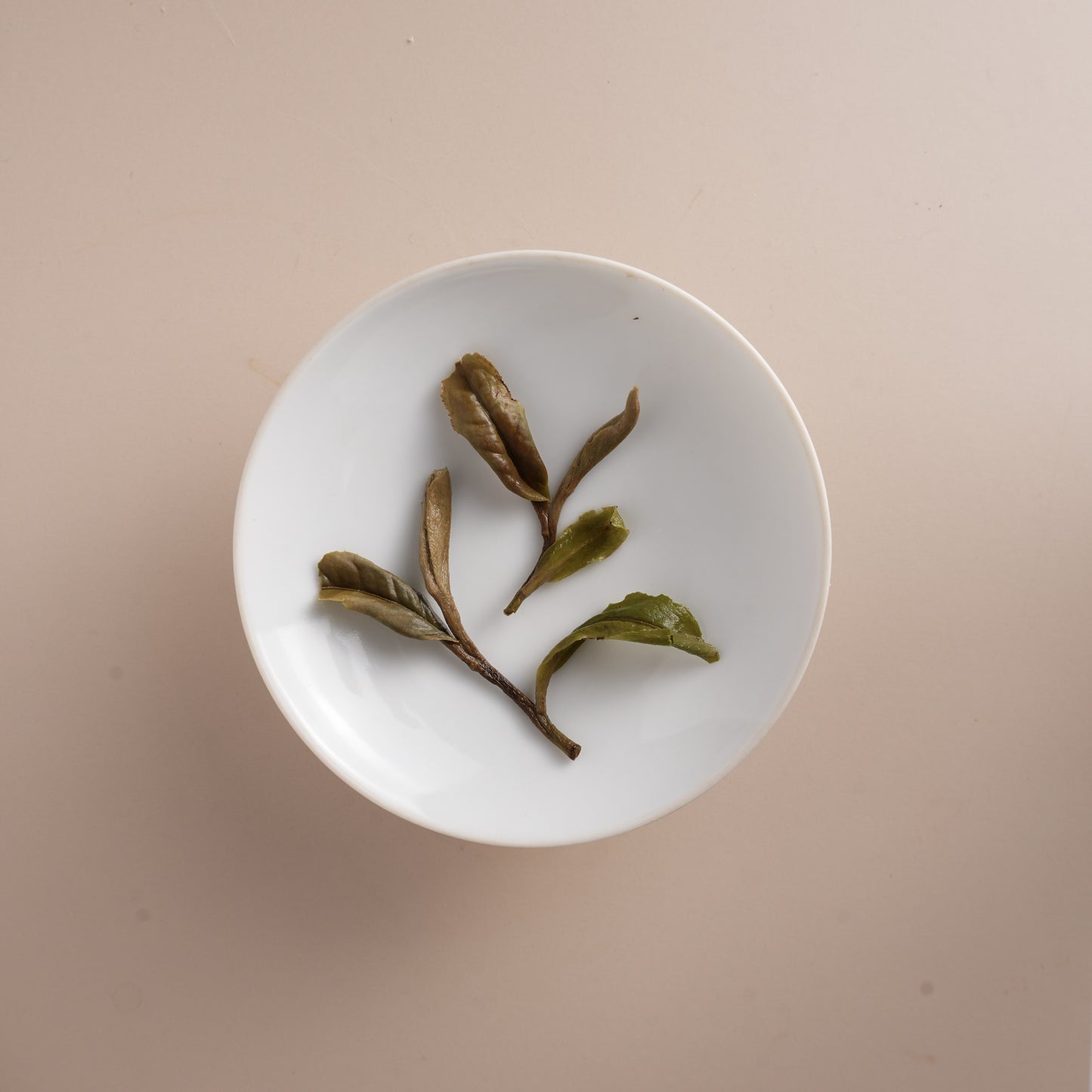 White Peony