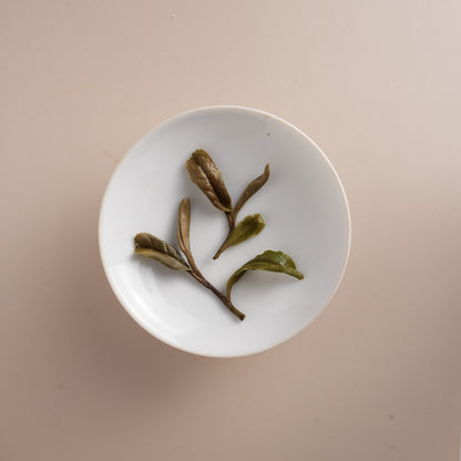 White Peony