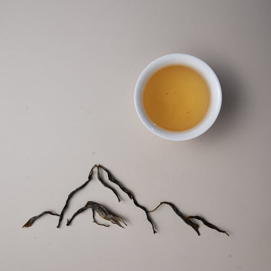 Pine & Cypress Sheng Pu’er