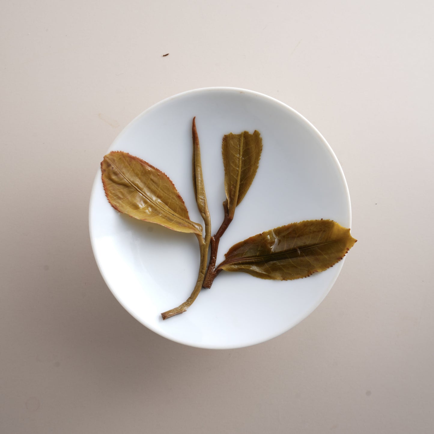 Pine & Cypress Sheng Pu’er