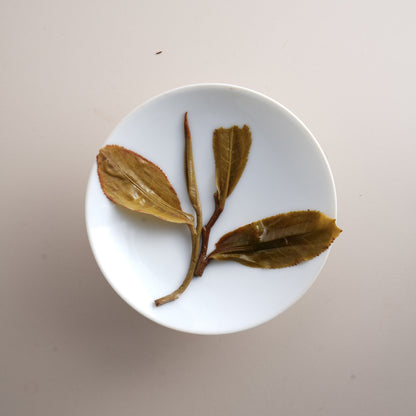 Pine & Cypress Sheng Pu’er