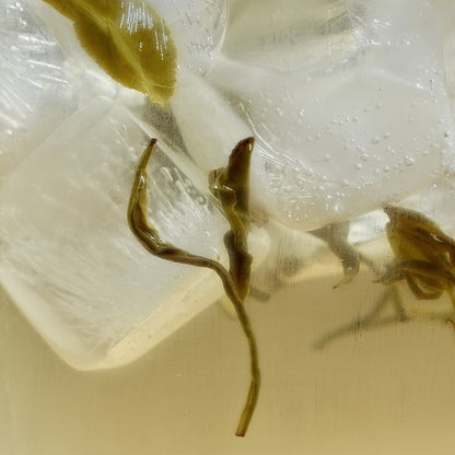 Pearl Yellow tea leaves steeping in iced water for naturally smooth cold brew tea