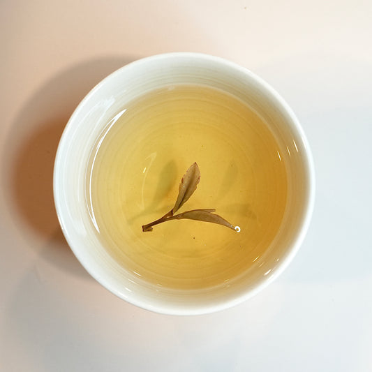 White Peony brewed tea liquor in cup