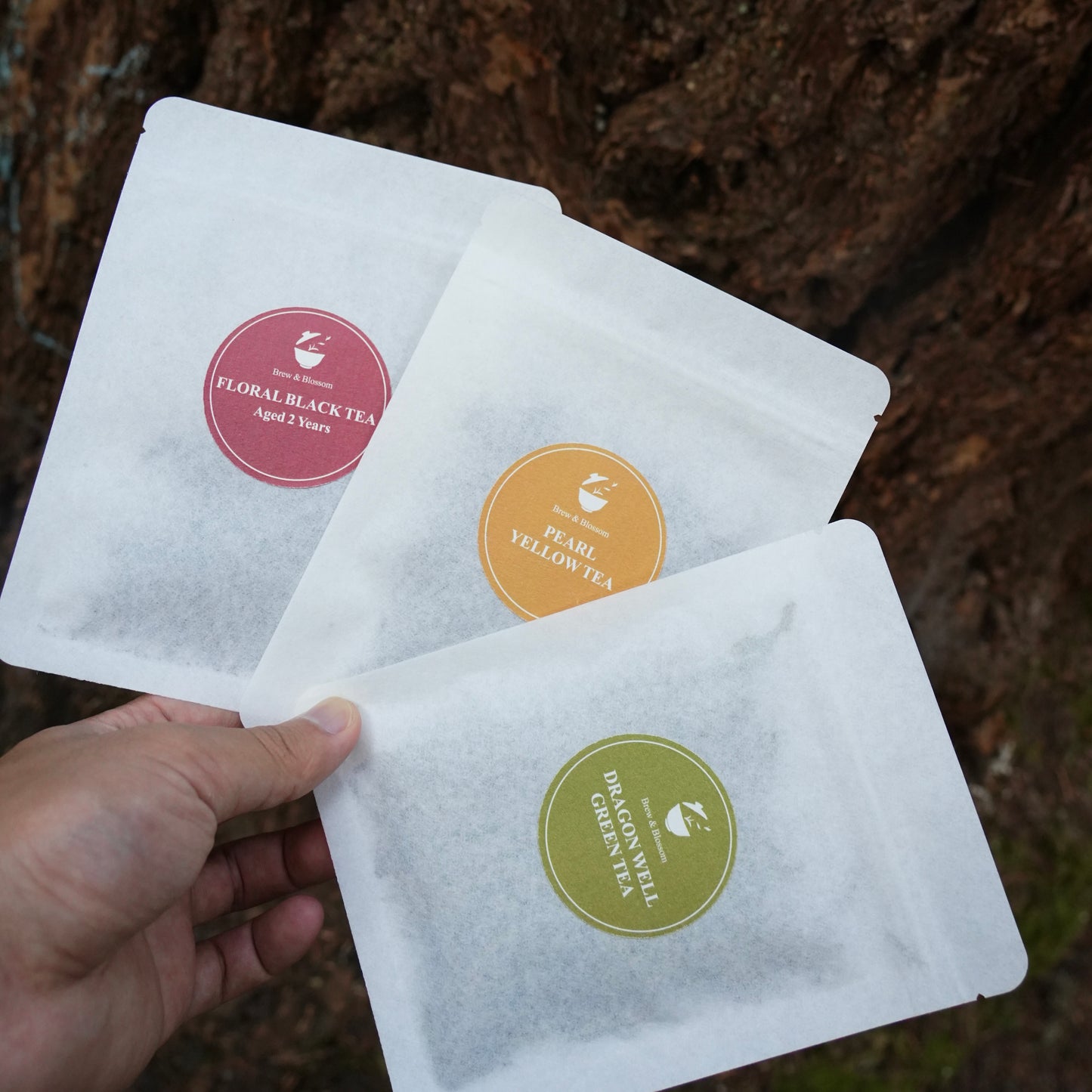 Summer Cold Brew Tea Flight