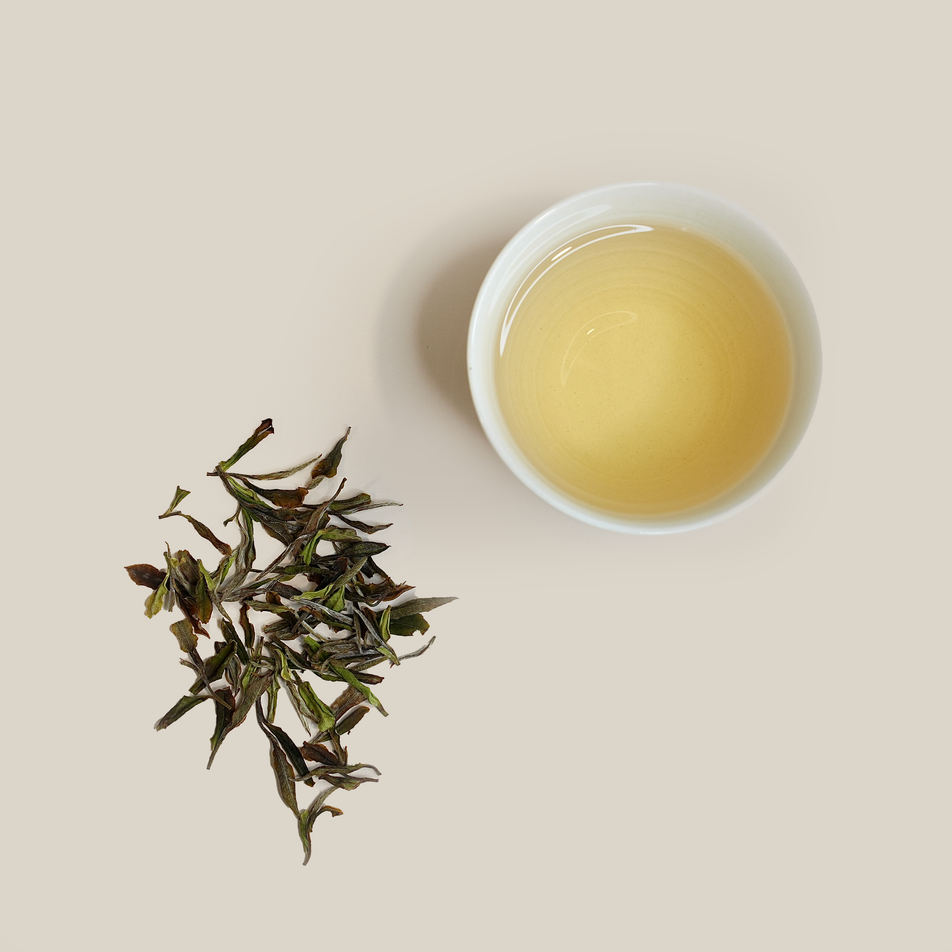 White Peony dry tea leaves with brewed tea liquor in cup