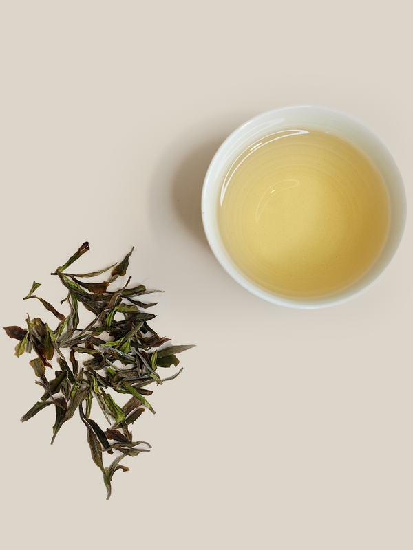 White Peony — Tea from Home
